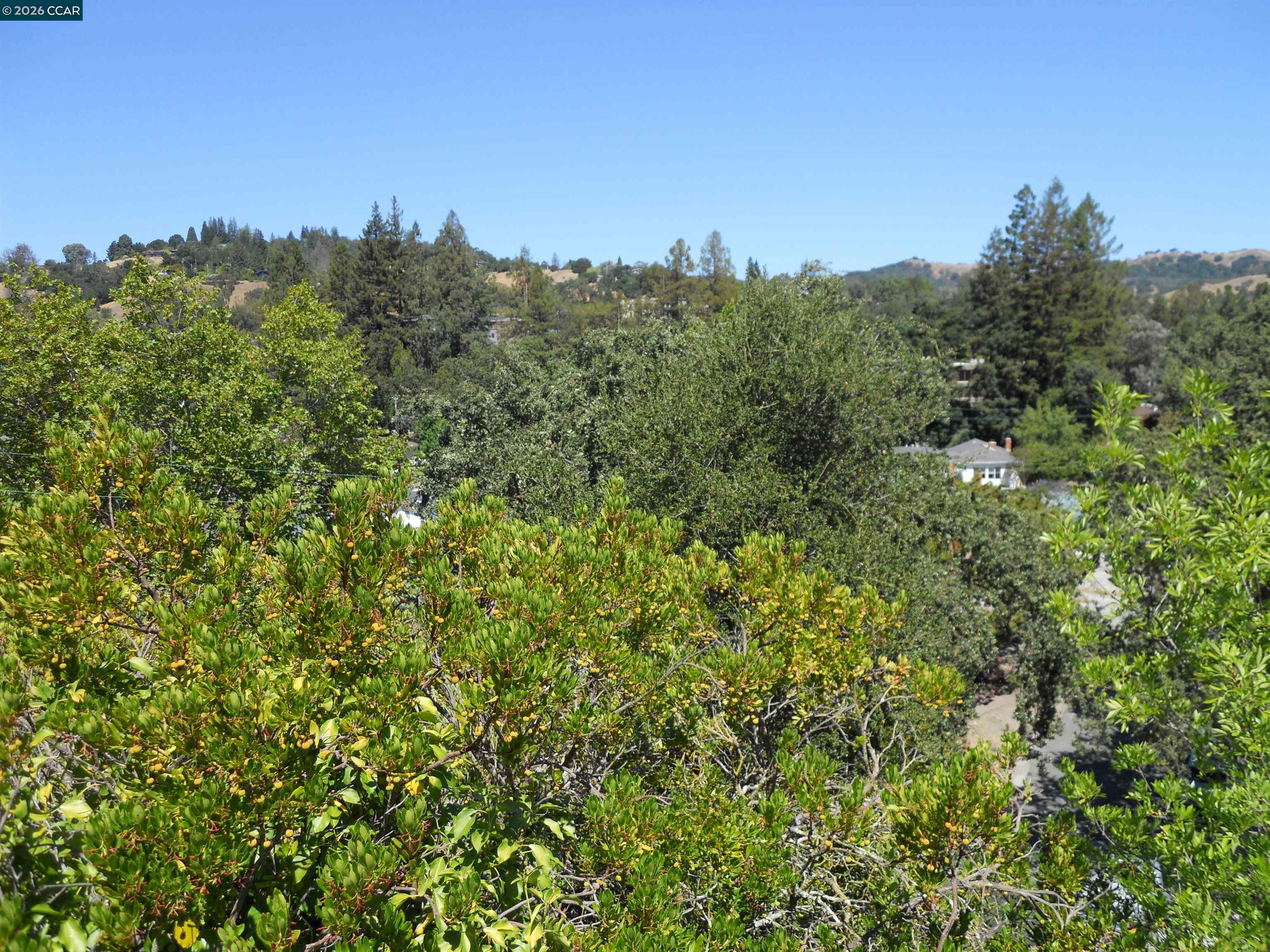 3692 Sundale Road Lafayette, CA 94549 - Photo 6 of 42