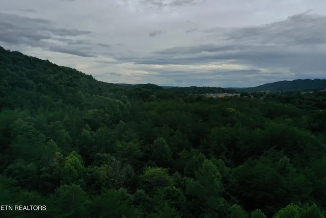 $1,900,000 | 66.48 Acres Milldale Road, Dandridge, TN 37725