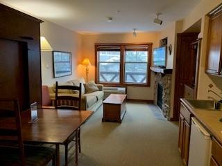 257 7 Rimfire Road Snowshoe, WV 26209 - Photo 3 of 11 Gallery Image 3