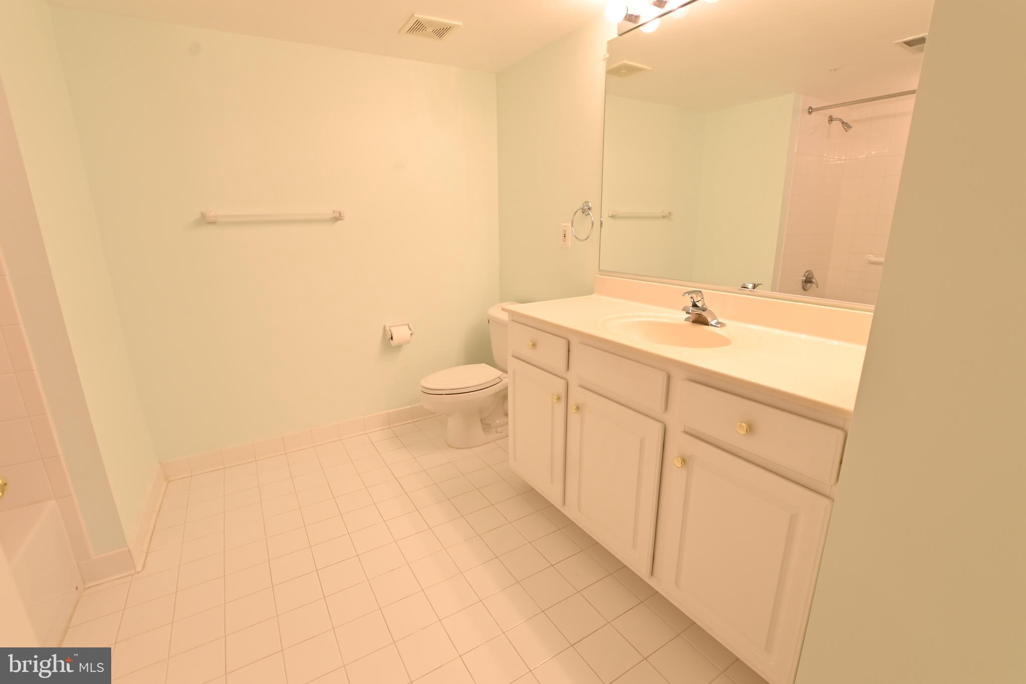 12300 Rosslare Ridge Road, Unit 301 Lutherville-Timonium, MD 21093 - Photo 23 of 25 Hall bath