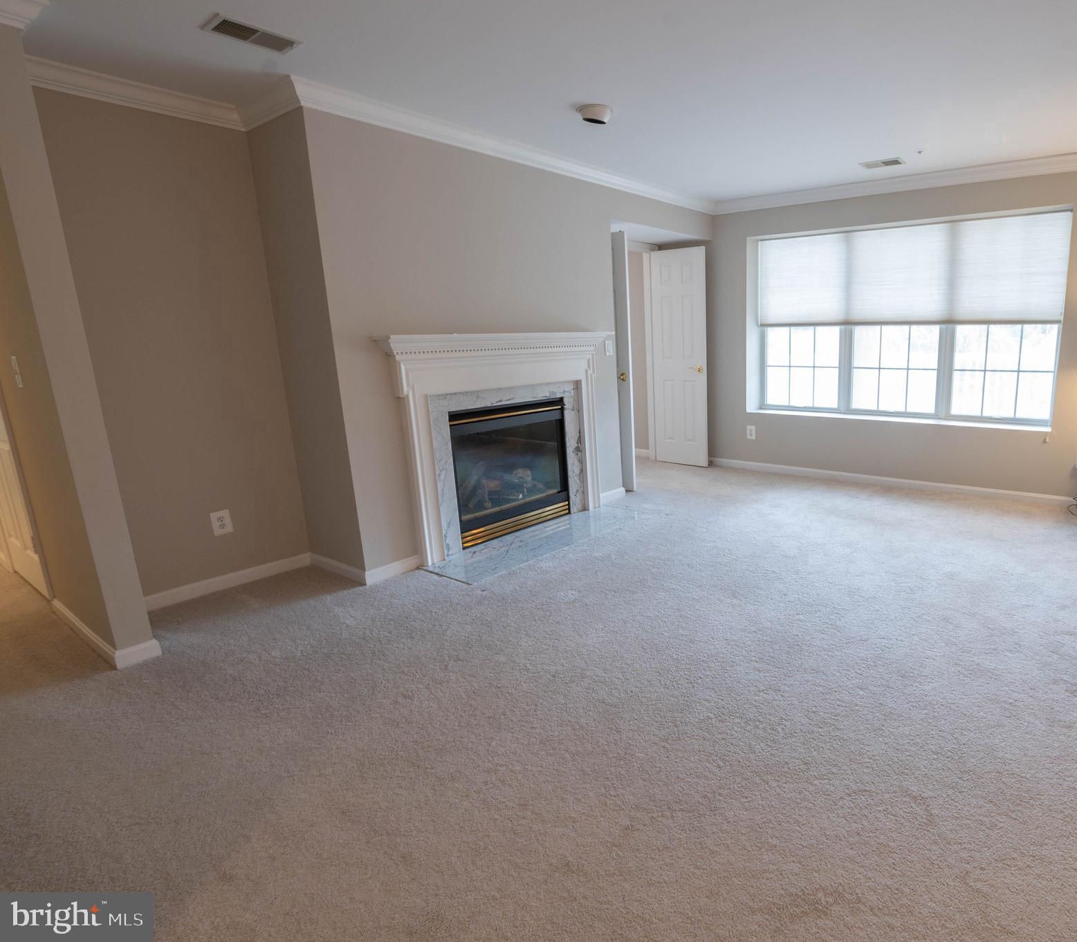 12300 Rosslare Ridge Road, Unit 301 Lutherville-Timonium, MD 21093 - Photo 8 of 25 Convenient gas fireplace