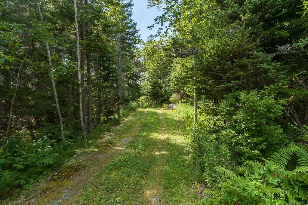 0 Bristol Road New Harbor, ME 04554 - Photo 2 of 20 (1)_Tax Map 31, Lot 4, Bristol, ME(MAPS)
