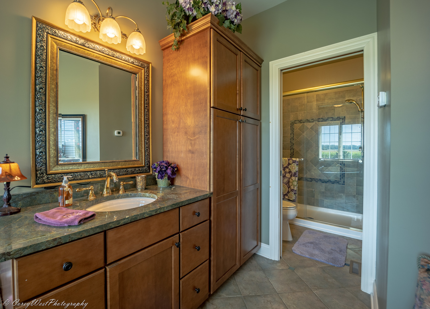 N307 Watson Road Maple Park, IL 60151 - Photo 26 of 65 a bathroom with a sink a mirror and a shower