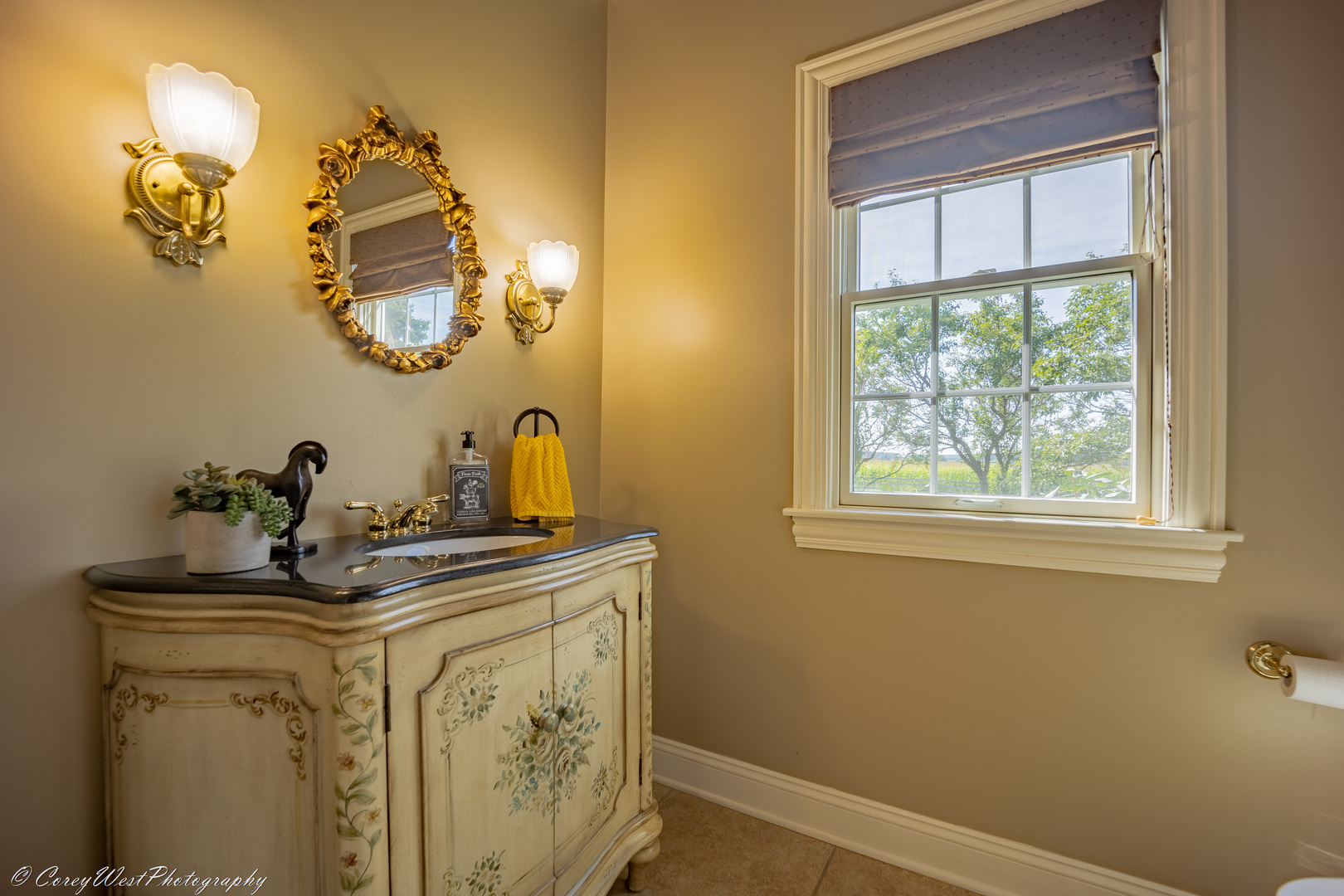 N307 Watson Road Maple Park, IL 60151 - Photo 27 of 65 a bathroom with a sink and a mirror