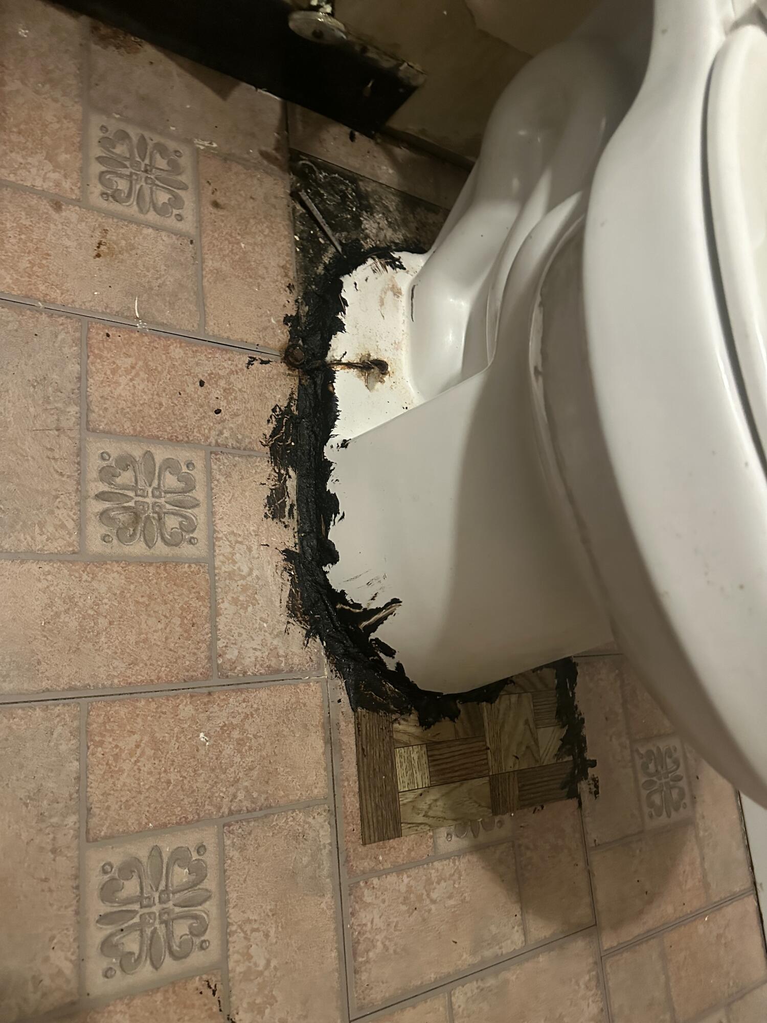 3430 Knollcrest Road Hephzibah, GA 30815 - Photo 12 of 36 IMG_6419