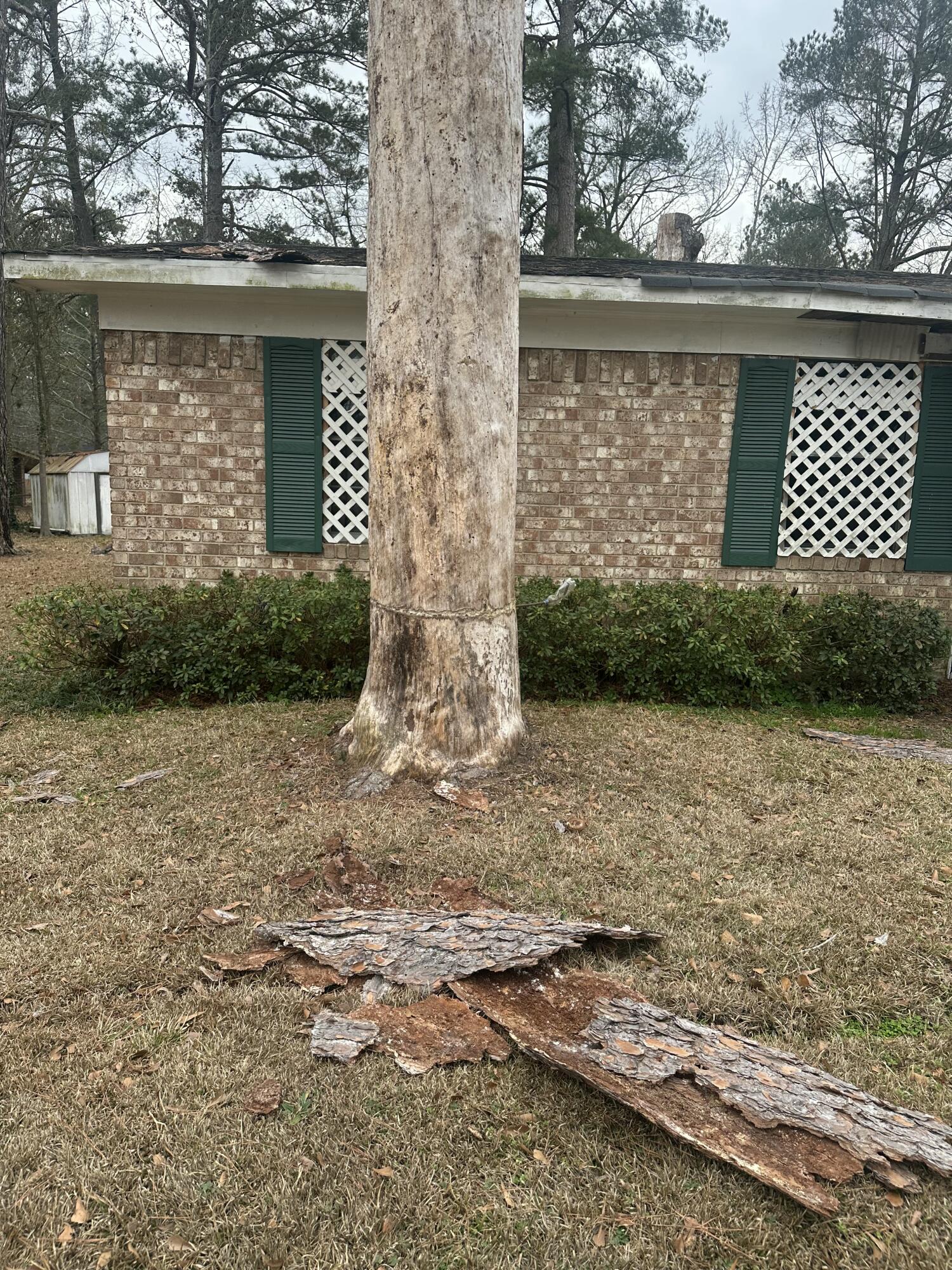 3430 Knollcrest Road Hephzibah, GA 30815 - Photo 24 of 36 IMG_6435