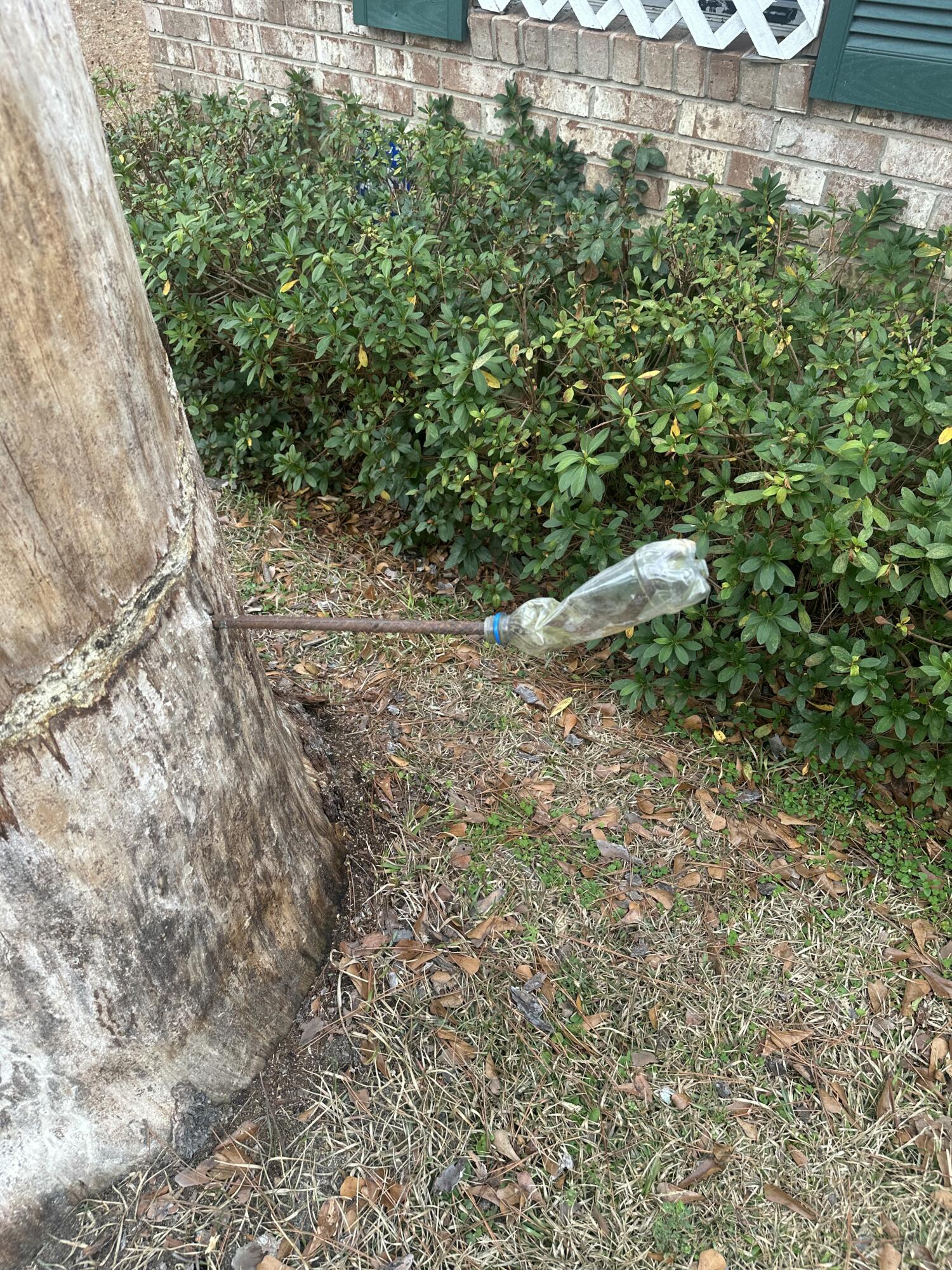 3430 Knollcrest Road Hephzibah, GA 30815 - Photo 25 of 36 IMG_6437