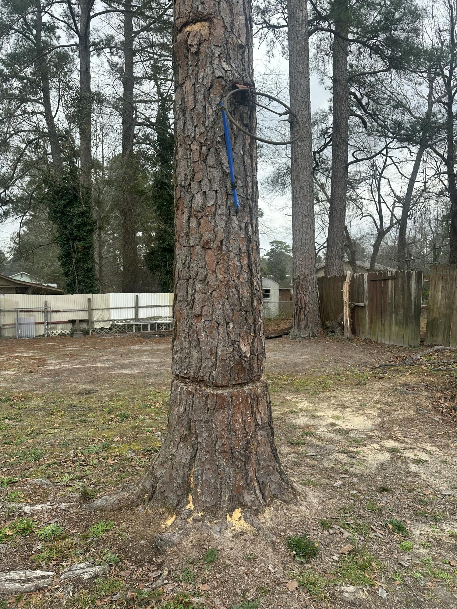 3430 Knollcrest Road Hephzibah, GA 30815 - Photo 33 of 36 IMG_6450