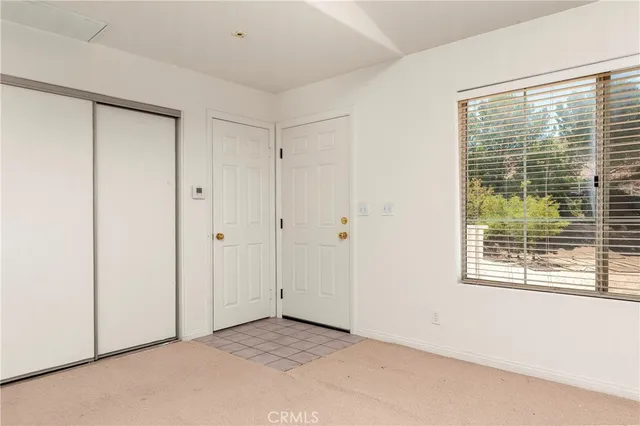 a view of a park with large trees