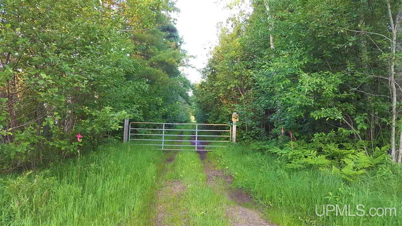 Tbd Hamilton Lake Road Vulcan, MI 49892 - Photo 1 of 7