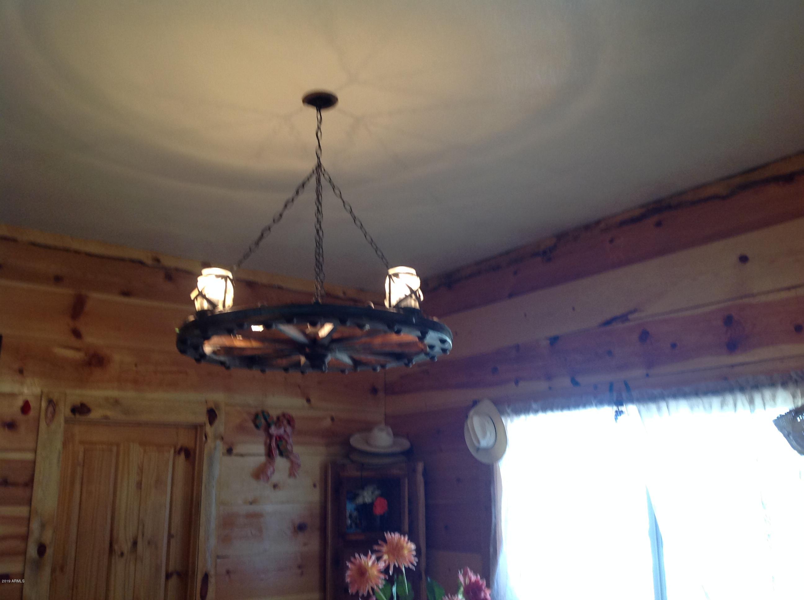 7342 North College Peak Road Douglas, AZ 85607 - Photo 12 of 71 Custom lighting