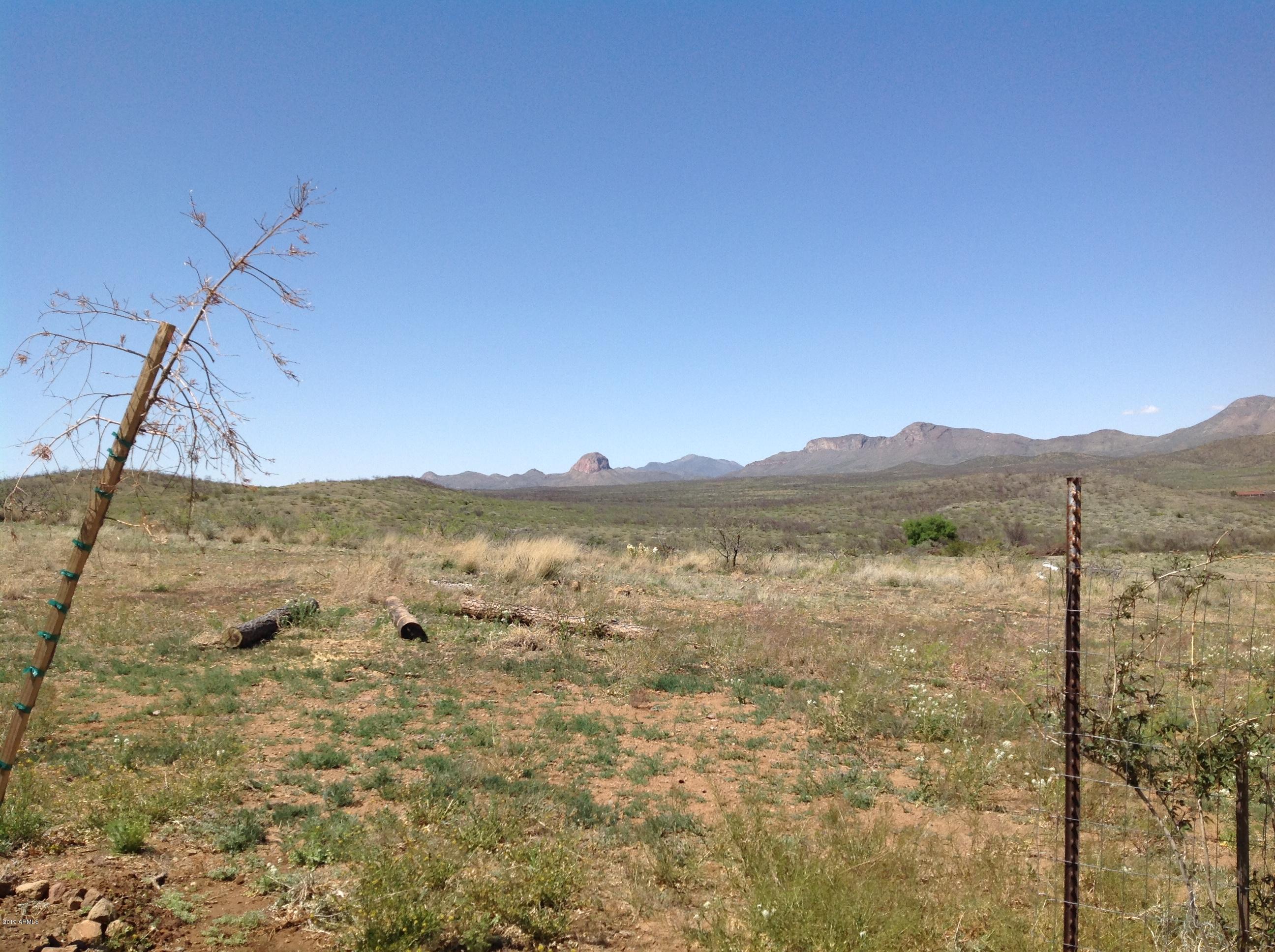 7342 North College Peak Road Douglas, AZ 85607 - Photo 41 of 71 views