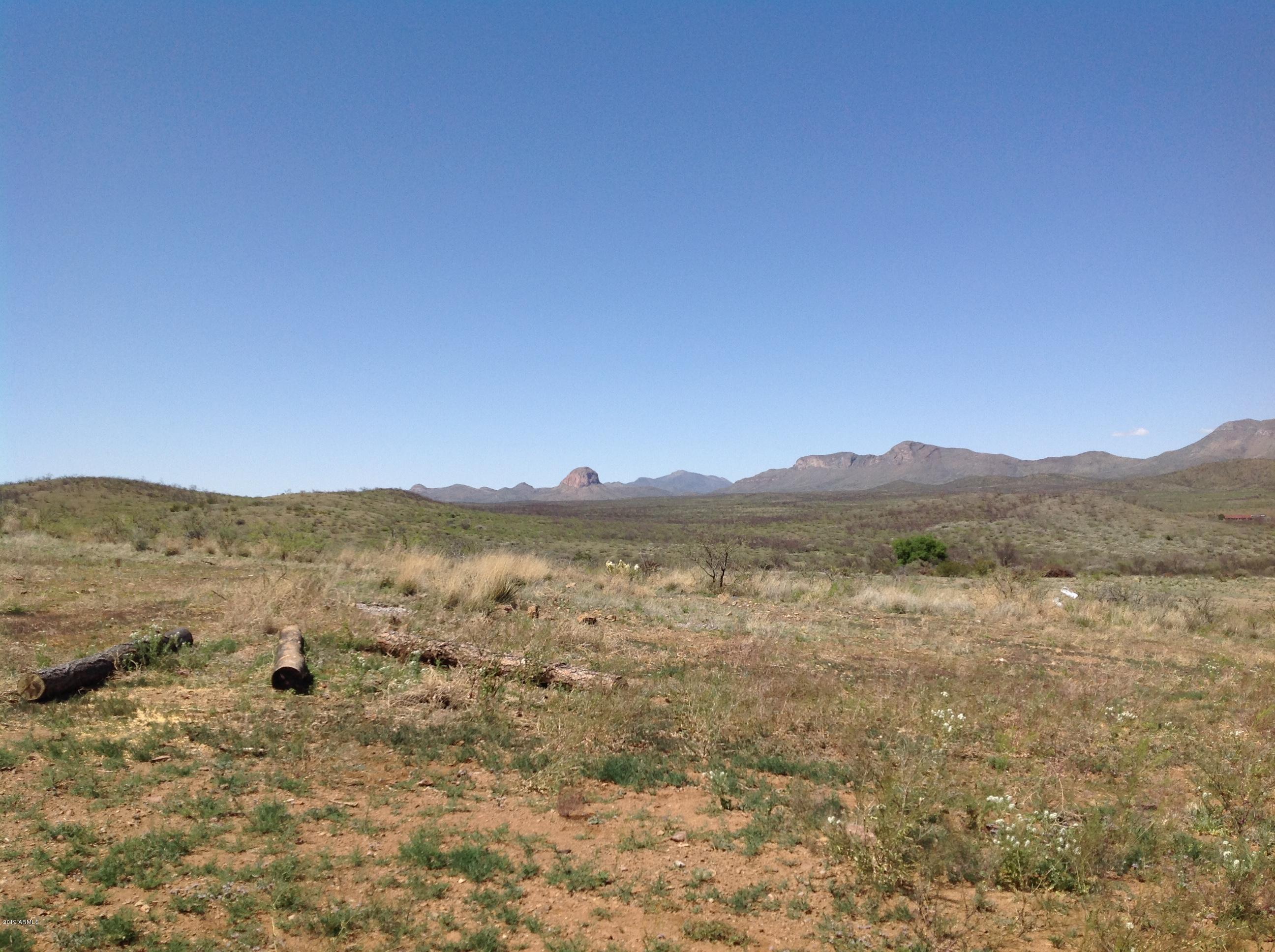 7342 North College Peak Road Douglas, AZ 85607 - Photo 43 of 71 views