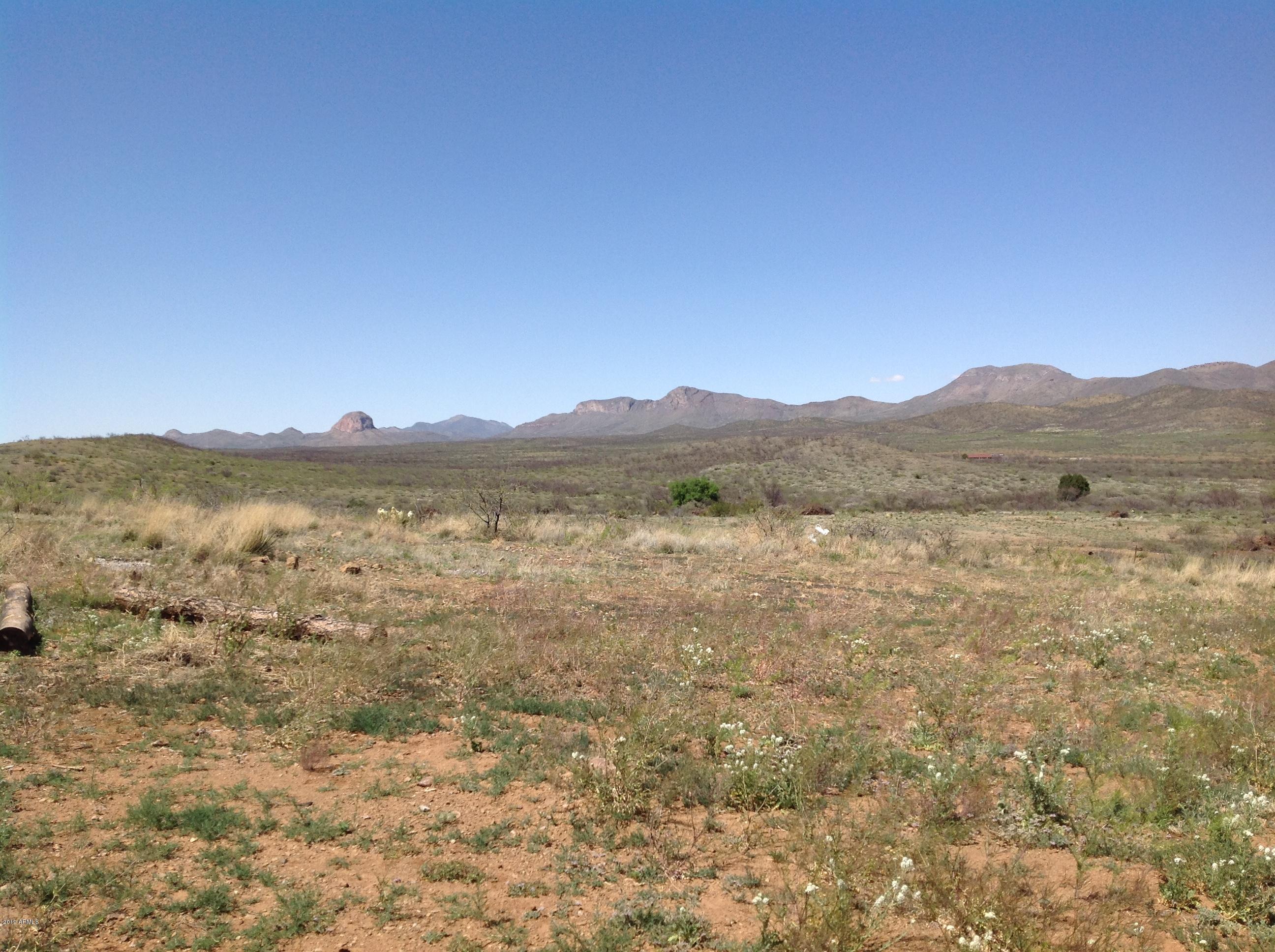 7342 North College Peak Road Douglas, AZ 85607 - Photo 45 of 71 views