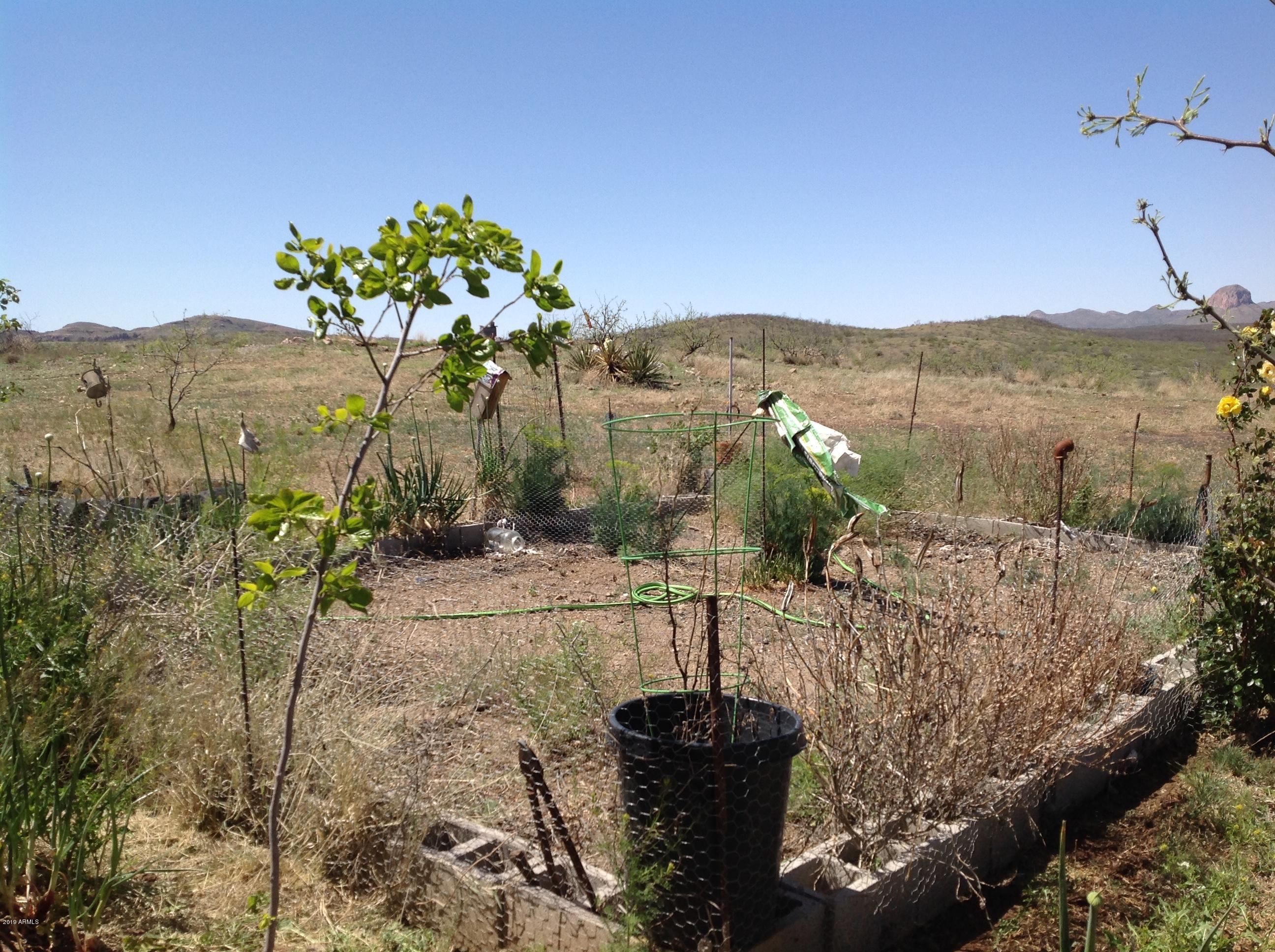 7342 North College Peak Road Douglas, AZ 85607 - Photo 51 of 71 garden