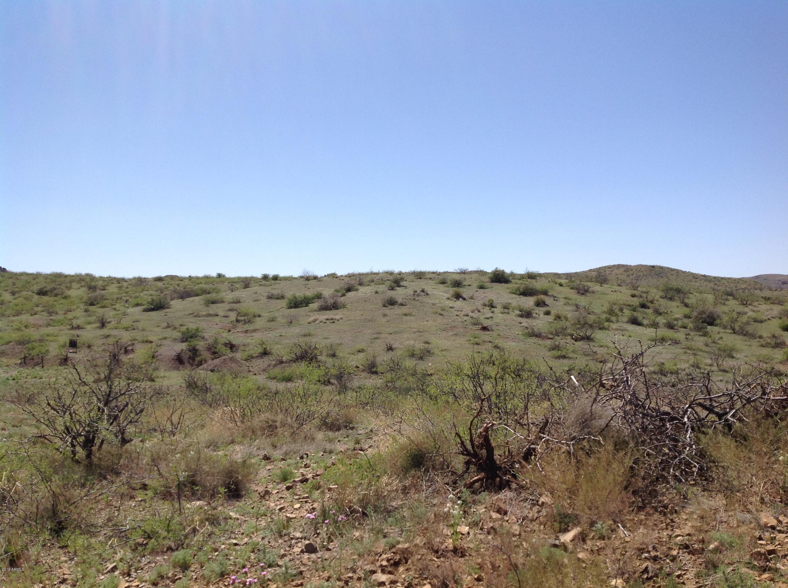 7342 North College Peak Road Douglas, AZ 85607 - Photo 59 of 71 views