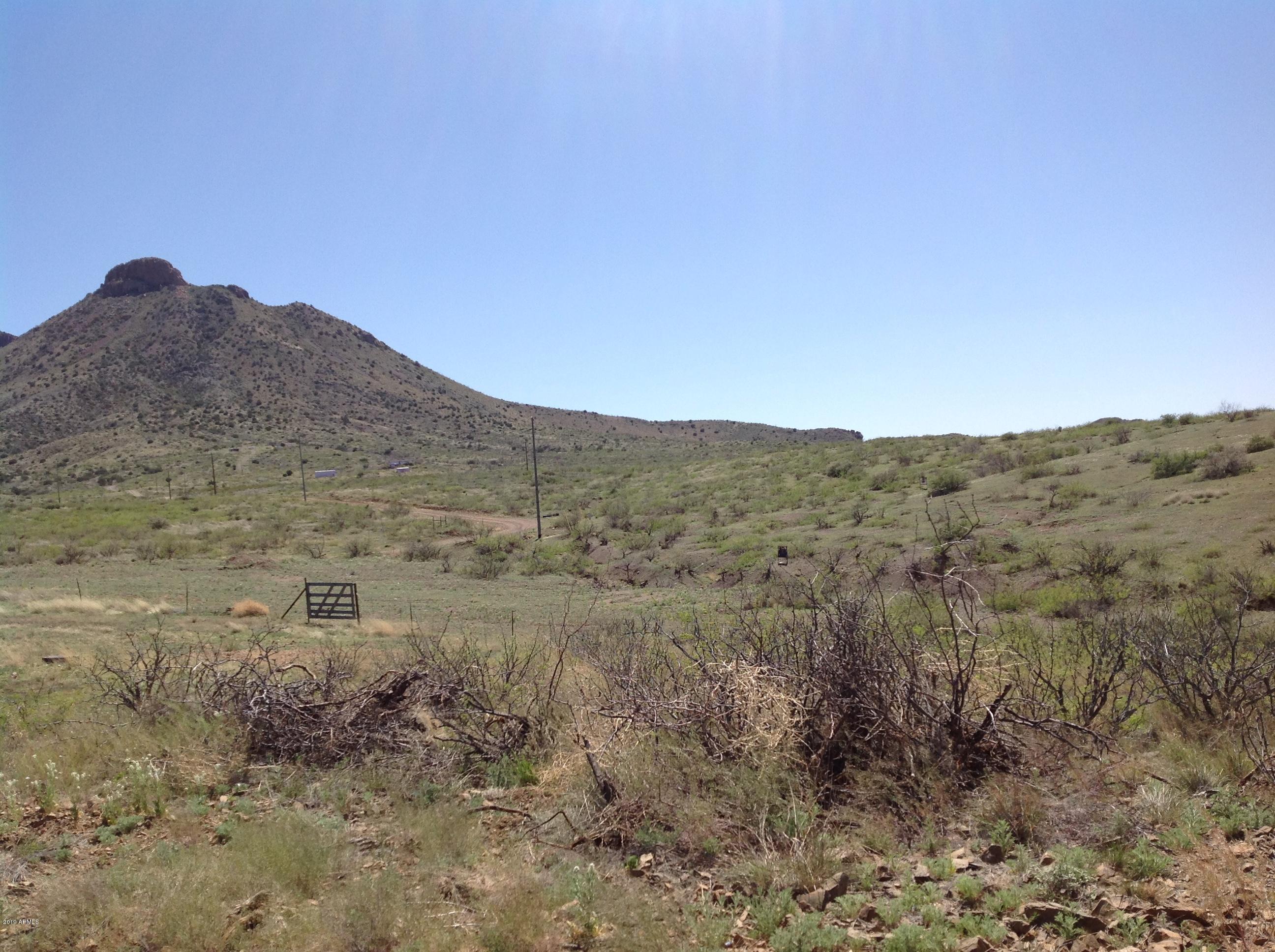 7342 North College Peak Road Douglas, AZ 85607 - Photo 62 of 71 the peak