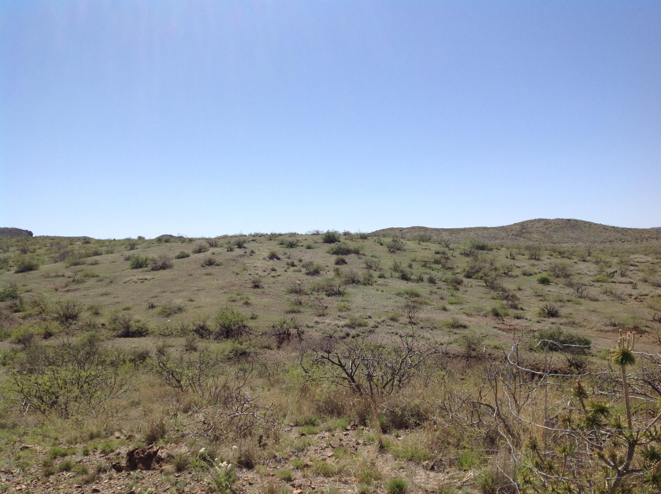 7342 North College Peak Road Douglas, AZ 85607 - Photo 66 of 71 views