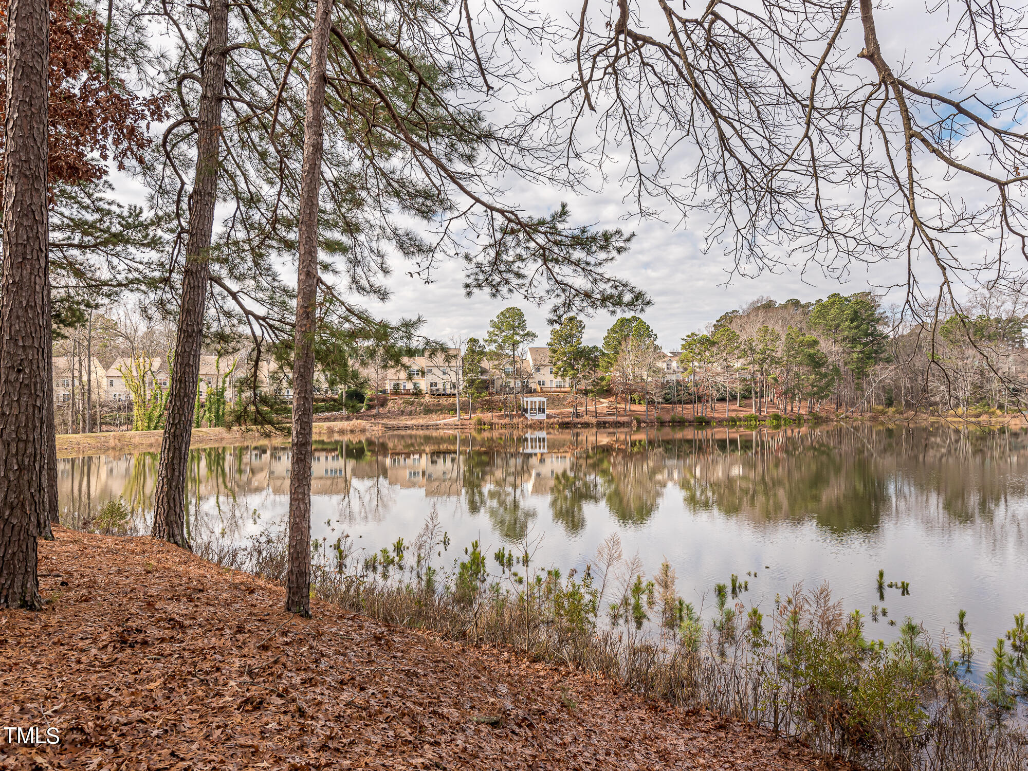 8041 Allyns Landing Way, Unit 103 Raleigh, NC 27615 - Photo 3 of 33 a view of lake