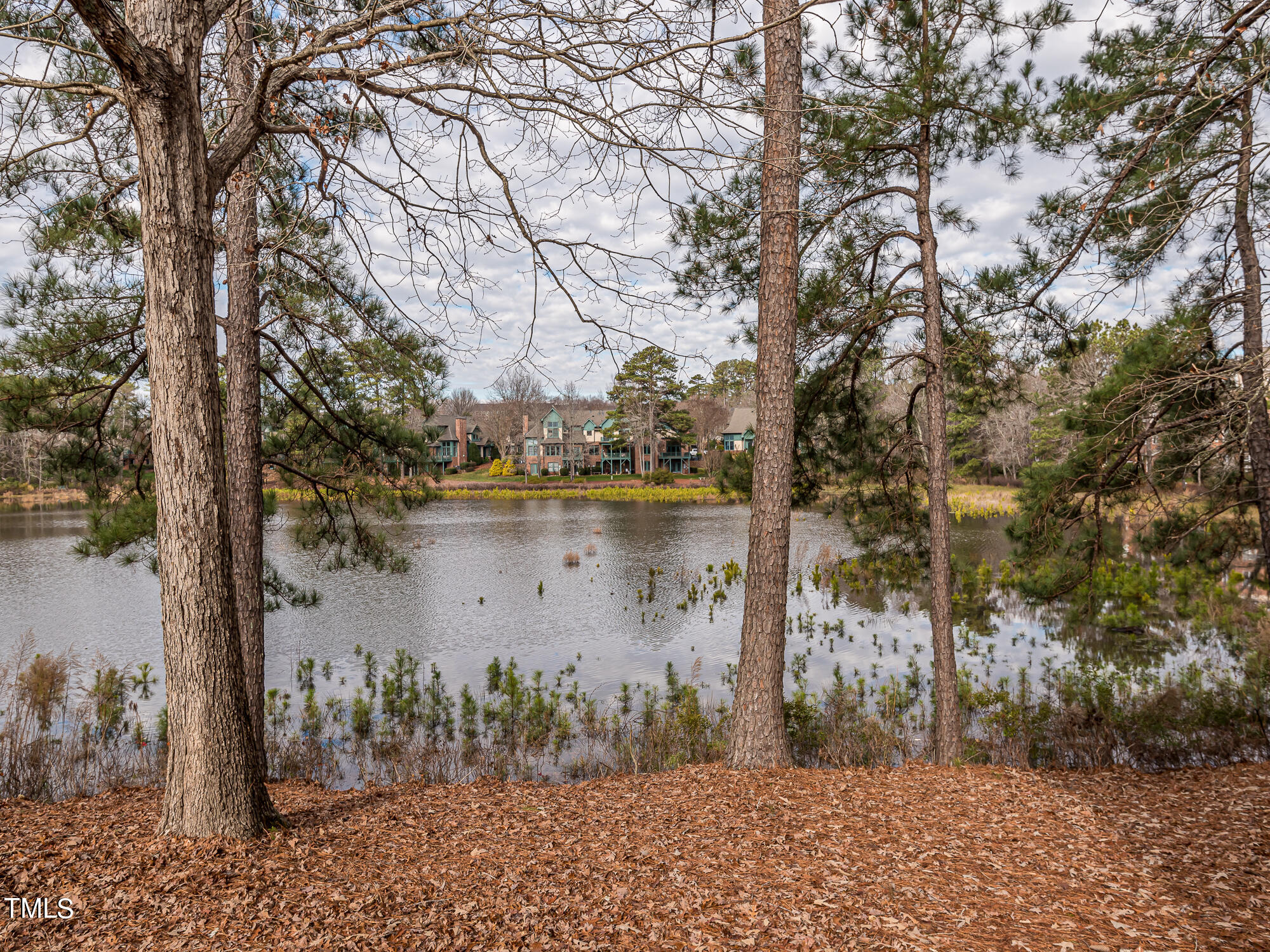 8041 Allyns Landing Way, Unit 103 Raleigh, NC 27615 - Photo 31 of 33 a backyard of a house with lots of green space