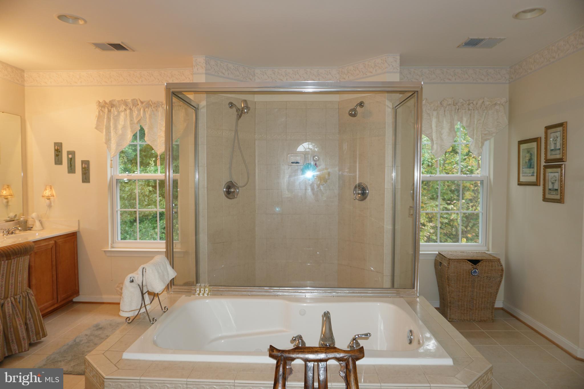 11013 Old York Road Bowie, MD 20721 - Photo 14 of 29 Bath (Master)