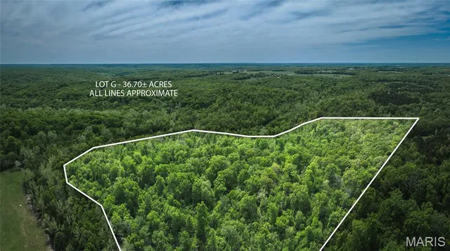 $278,920 | 0 Lot G Armadillo Lane, Leslie, MO 63056