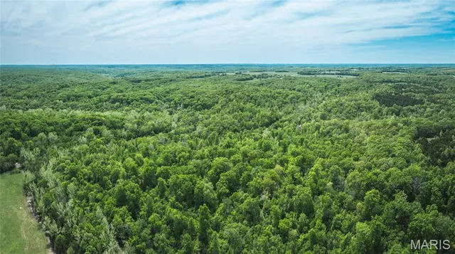 $256,900 | 0 Lot G Armadillo Lane, Leslie, MO 63056