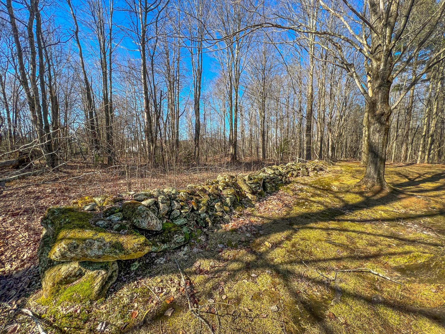 645 Belle Vista Road Jay, VT 05859 - Photo 26 of 31 Gallery Image 26