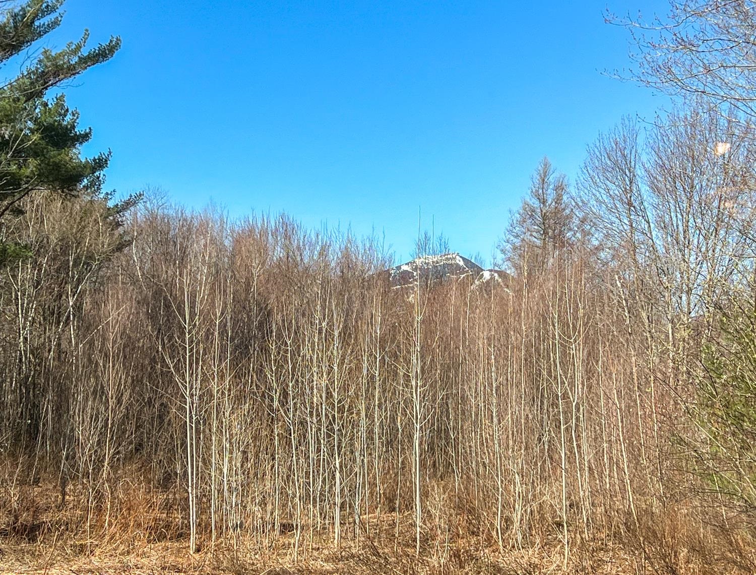 645 Belle Vista Road Jay, VT 05859 - Photo 27 of 31 Gallery Image 27