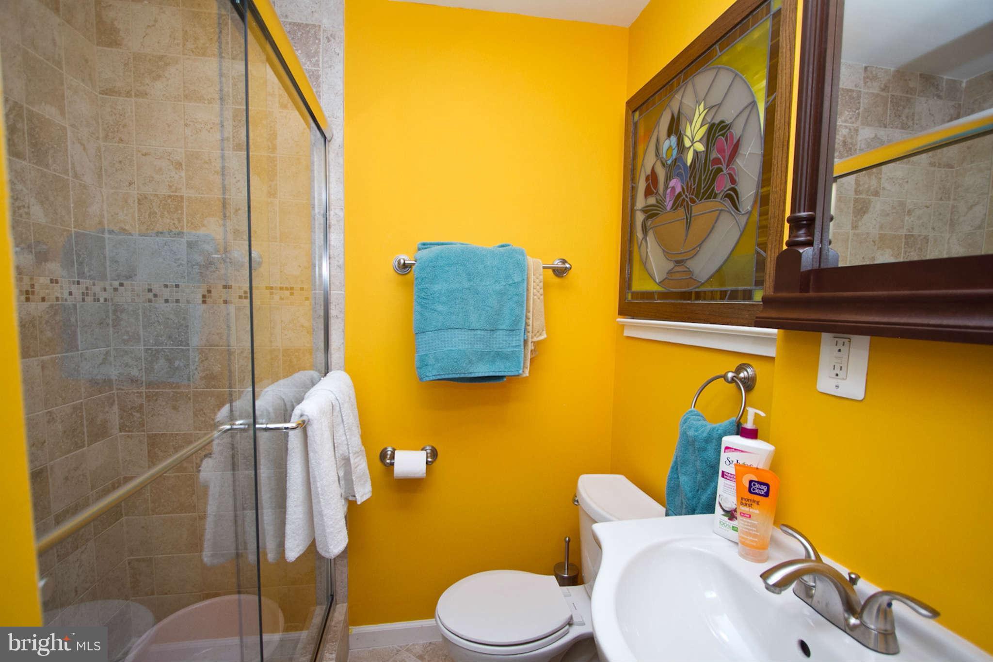 6507 Old Chesterbrook Road McLean, VA 22101 - Photo 12 of 22 Bath (Master)
