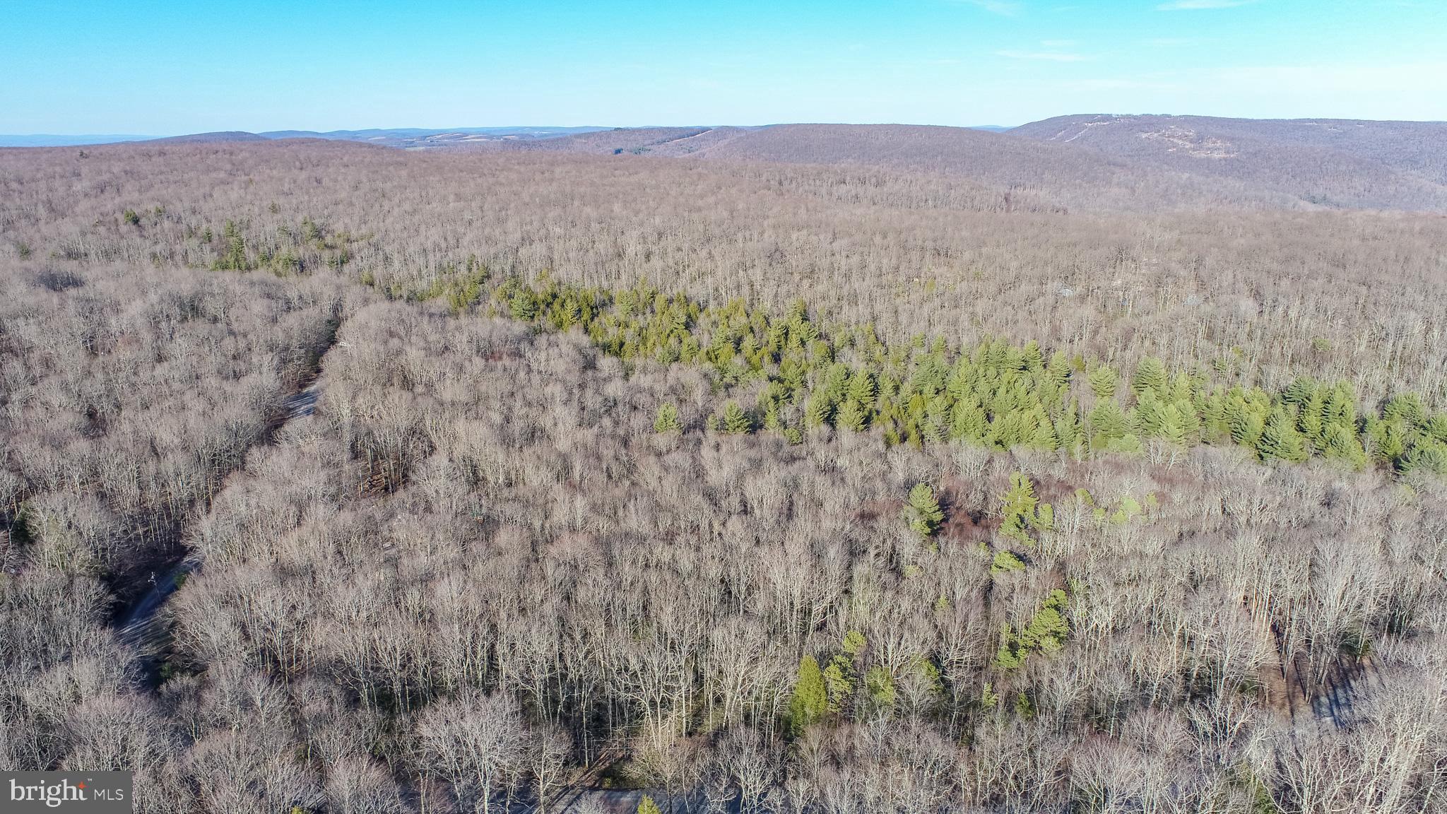 328 Stool Rock Road Oakland, MD 21550 - Photo 26 of 133 a view of a dry field with trees in background