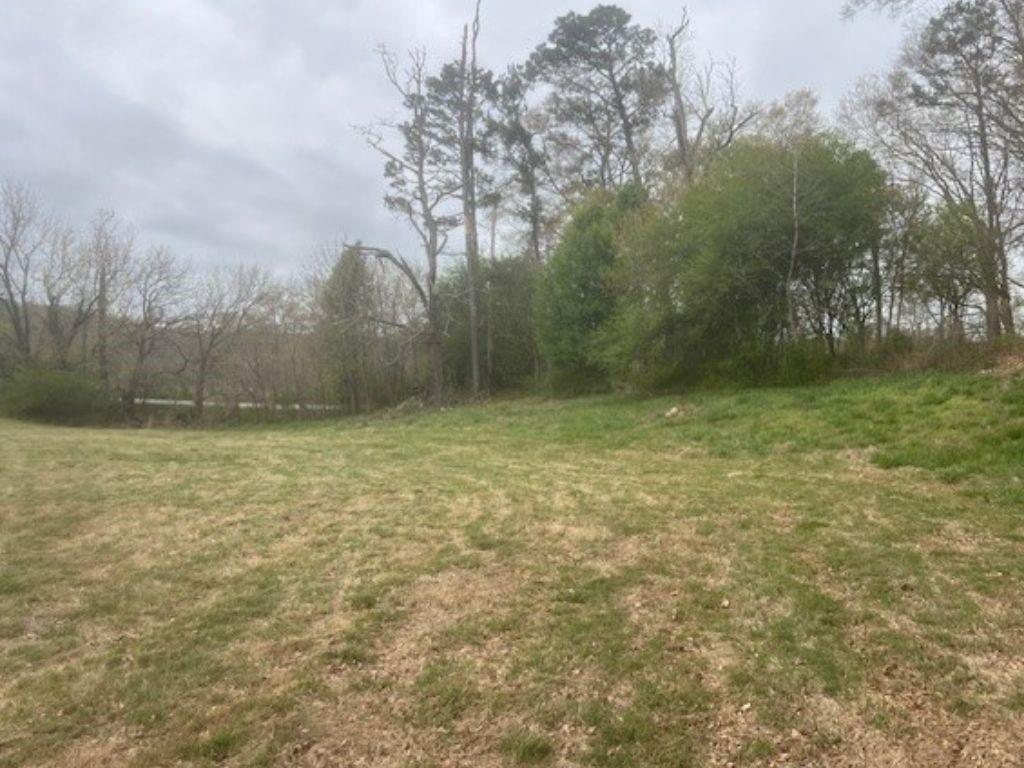 5315 Hendrix Road Cumming, GA 30040 - Photo 2 of 6 a view of a yard