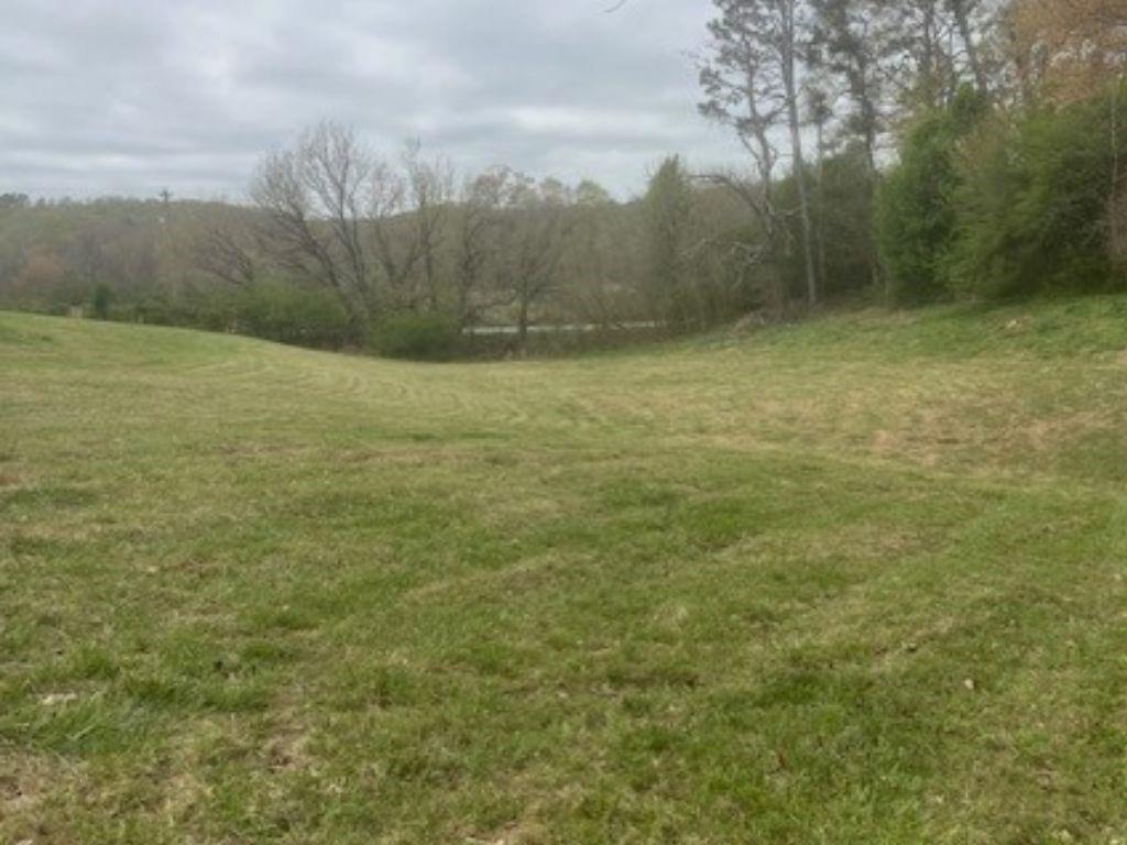 5315 Hendrix Road Cumming, GA 30040 - Photo 4 of 6 a view of a yard with an trees