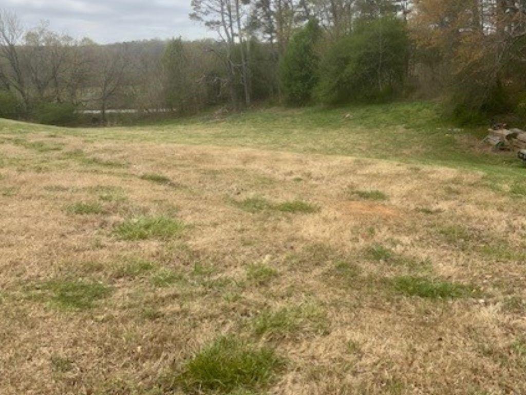 5315 Hendrix Road Cumming, GA 30040 - Photo 5 of 6 a view of a yard