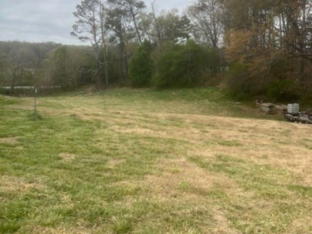 5315 Hendrix Road Cumming, GA 30040 - Photo 6 of 6