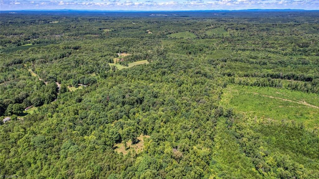 0 Sigmon Road Pelham, NC 27311 - Photo 3 of 13