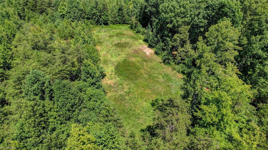 0 Sigmon Road Pelham, NC 27311 - Photo 4 of 13