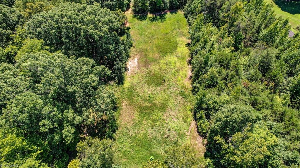 0 Sigmon Road Pelham, NC 27311 - Photo 5 of 13