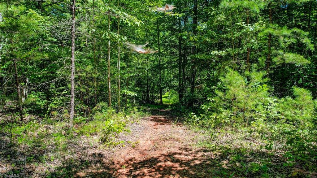 0 Sigmon Road Pelham, NC 27311 - Photo 8 of 13