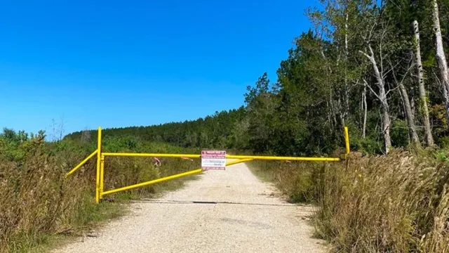 a view of a swimming pool with a yard