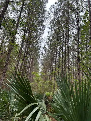 $389,000 | 0 North Gate Road, Devers, TX 77538