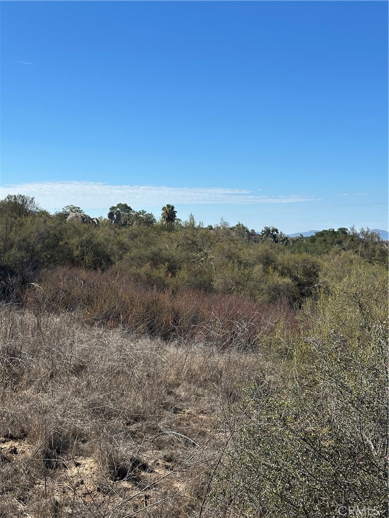 0 Remuda Drive Temecula, CA 92592 - Photo 30 of 35 a view of a dry field with trees in background