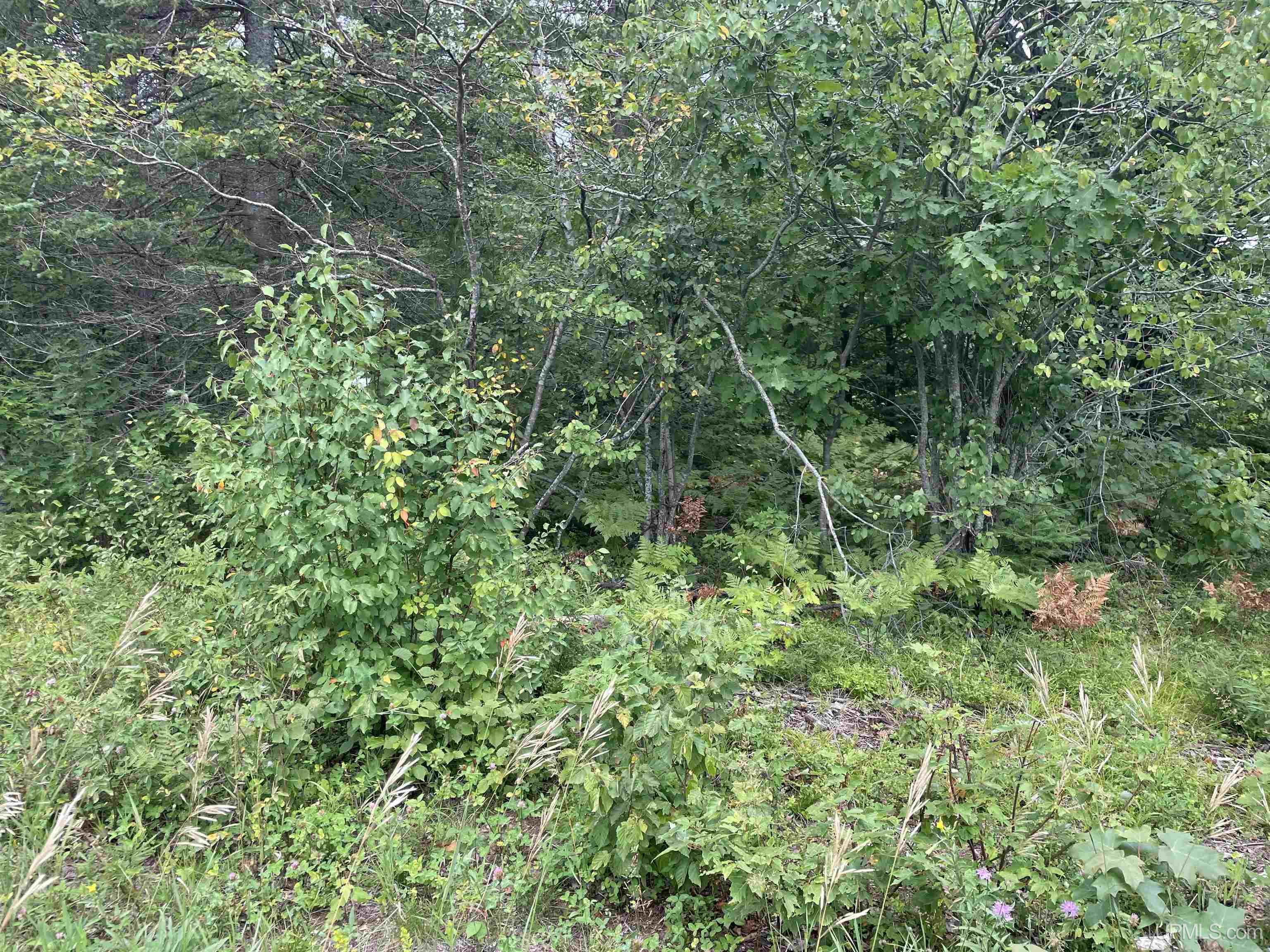 456 North Rd Little Lake Little Lake, MI 49833 - Photo 4 of 29