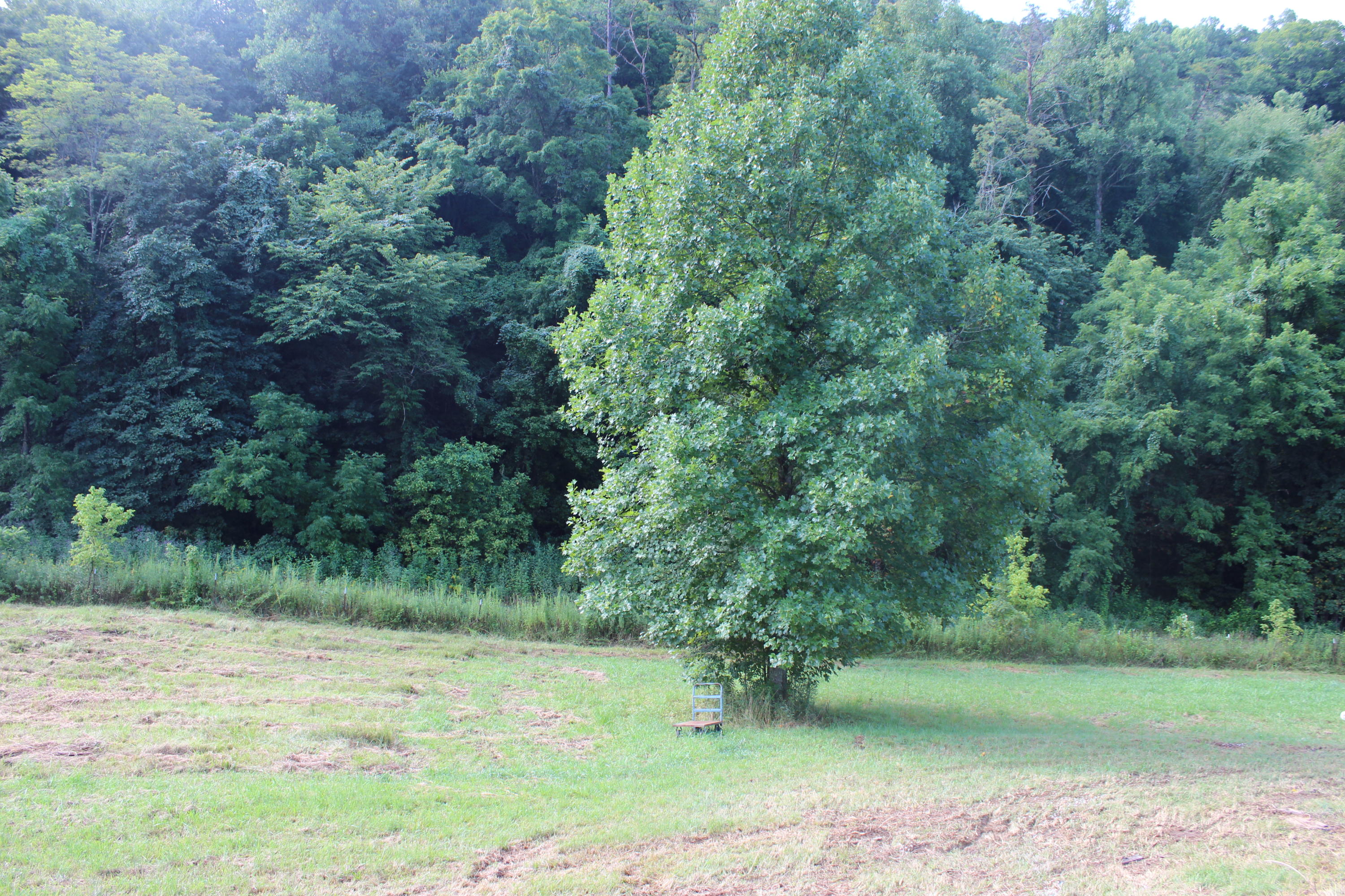 2755 Upper Caney Valley Road Tazewell, TN 37879 - Photo 11 of 23 IMG_9168