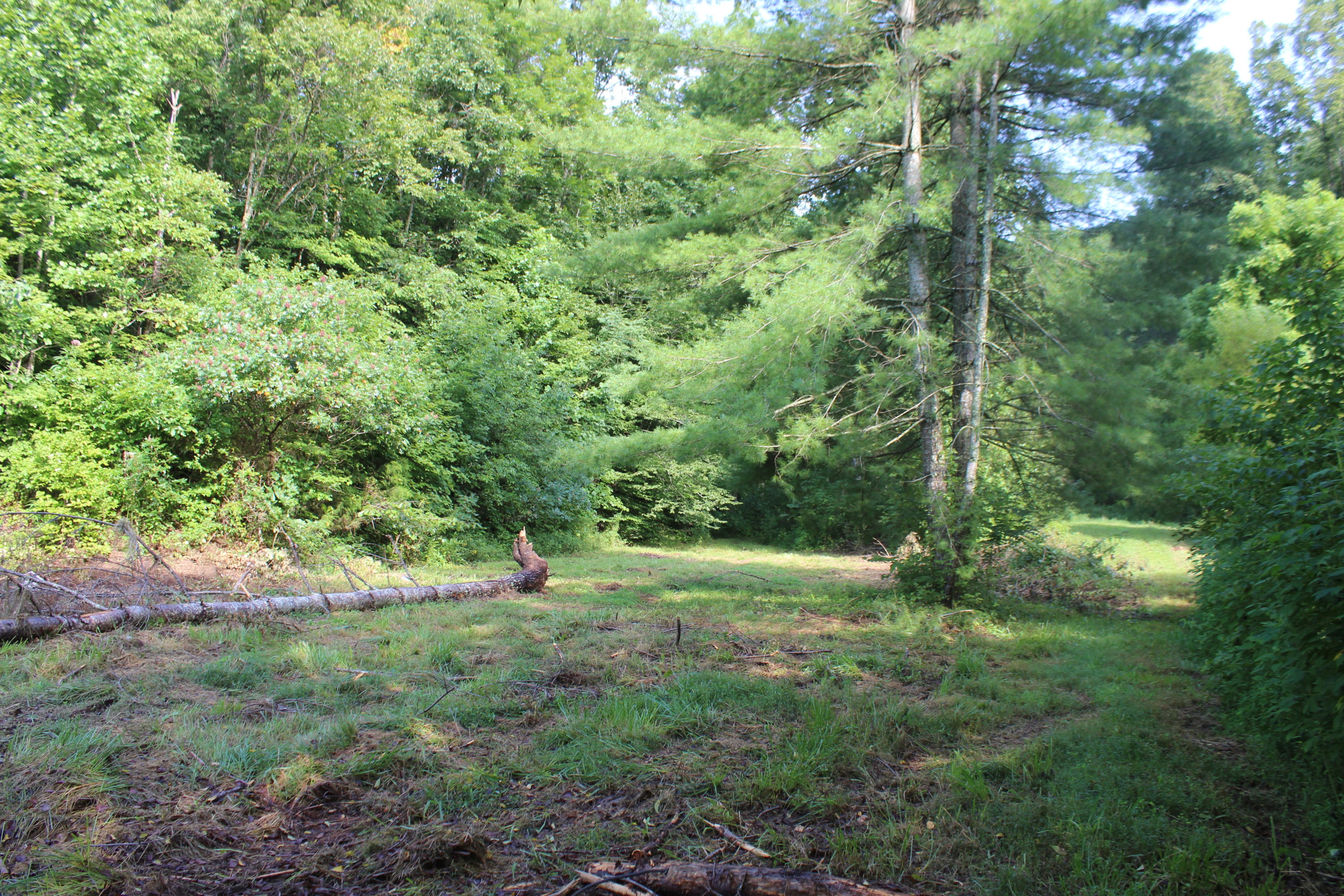 2755 Upper Caney Valley Road Tazewell, TN 37879 - Photo 16 of 23 IMG_9173