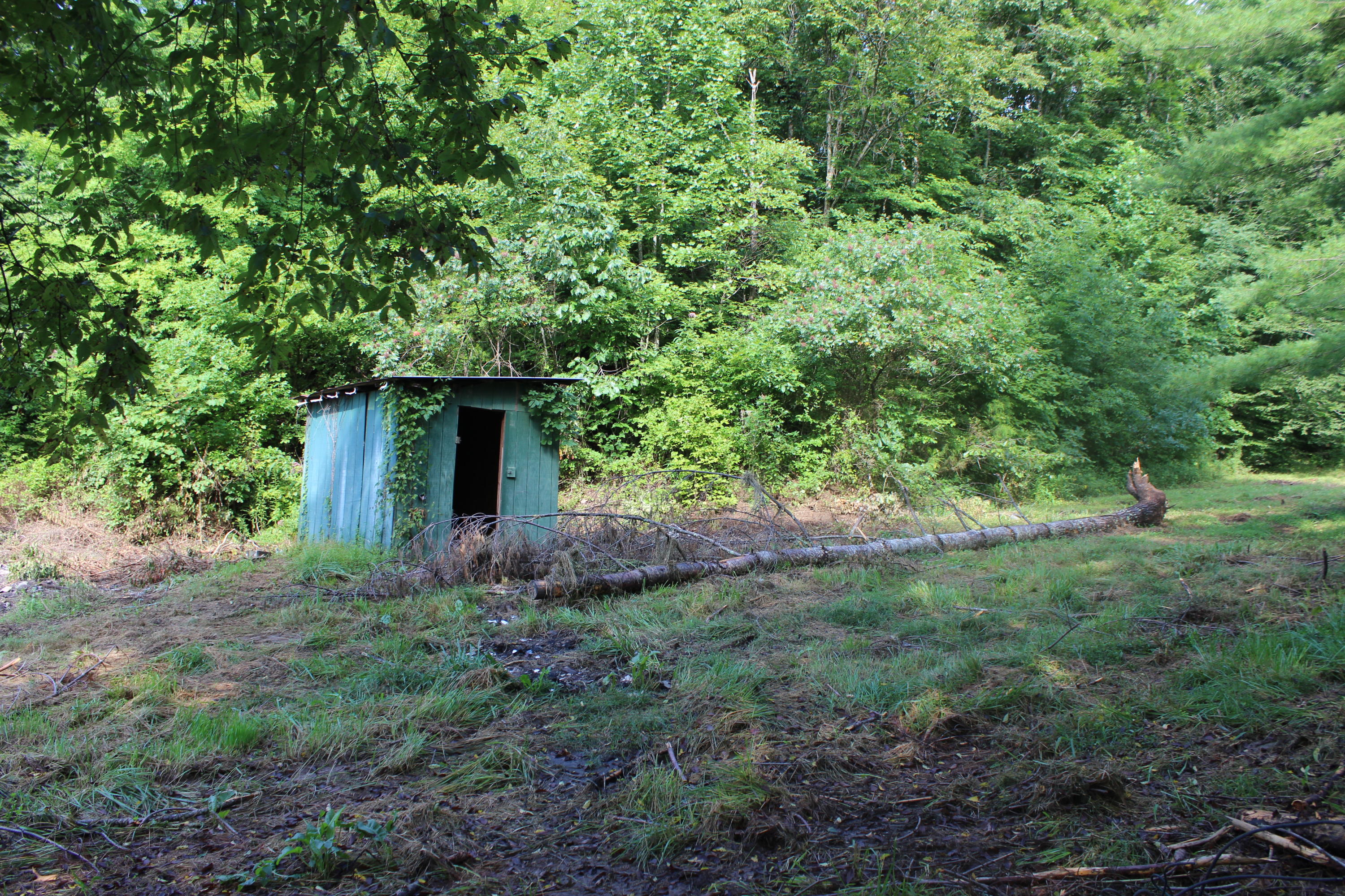 2755 Upper Caney Valley Road Tazewell, TN 37879 - Photo 17 of 23 IMG_9174