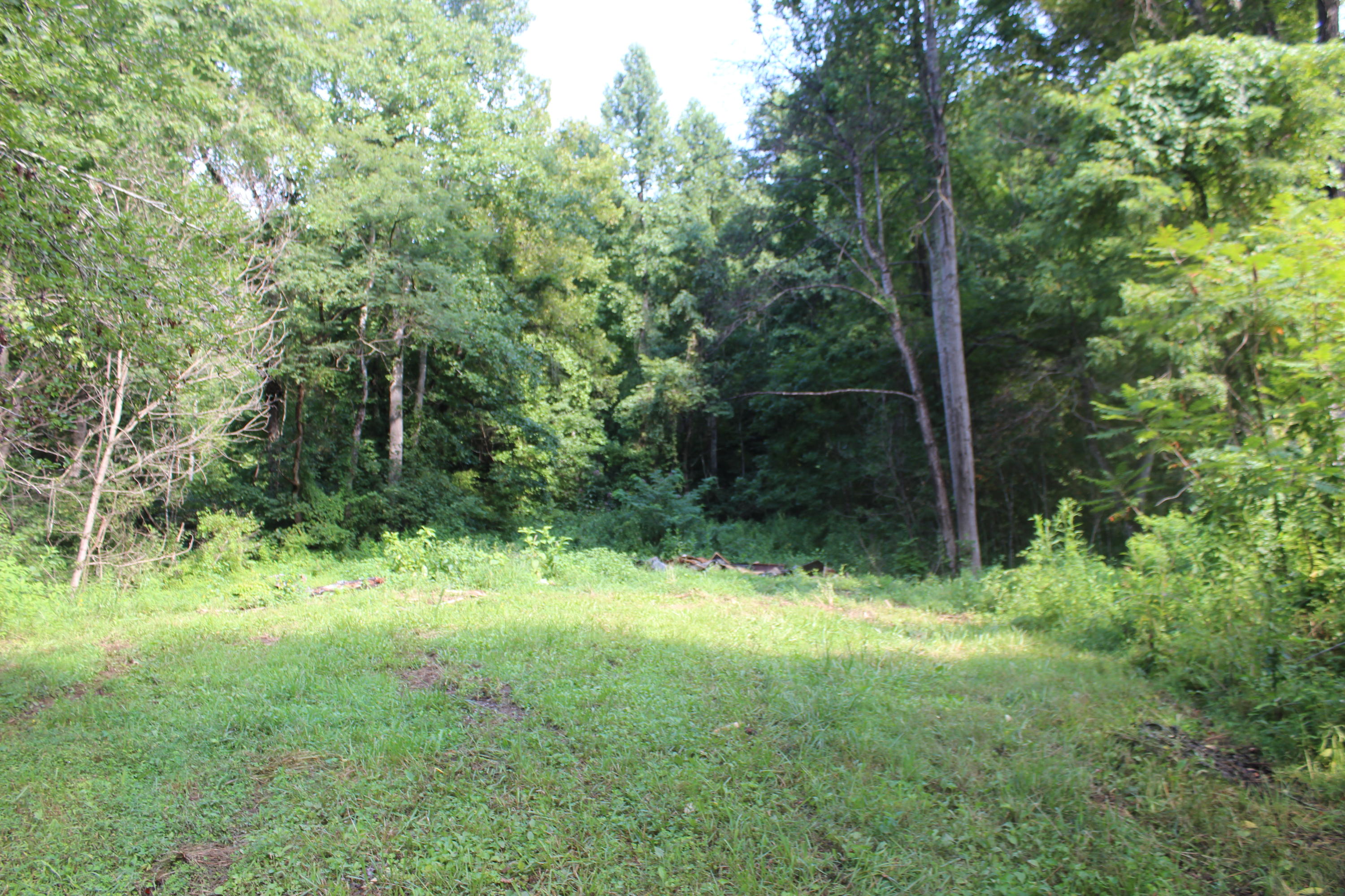 2755 Upper Caney Valley Road Tazewell, TN 37879 - Photo 18 of 23 IMG_9175