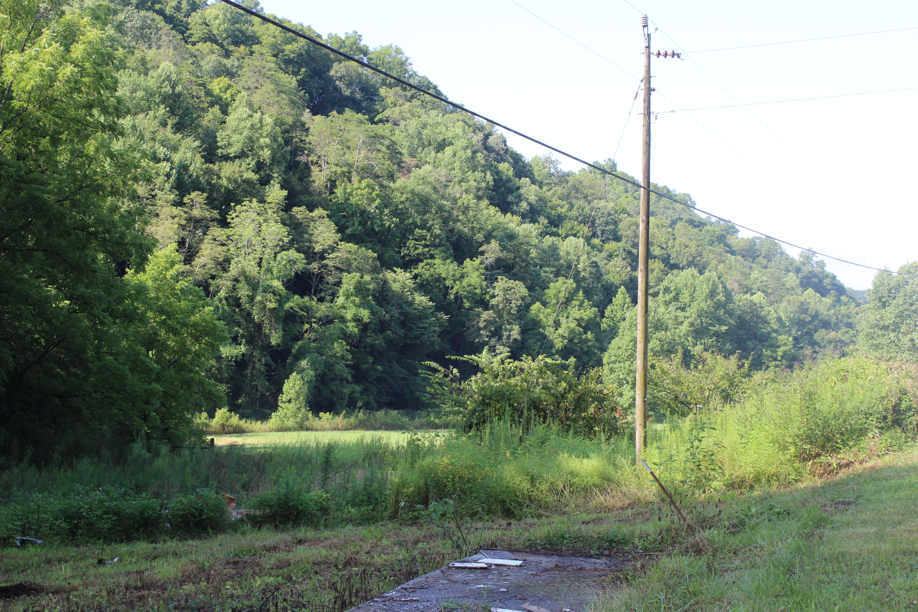 2755 Upper Caney Valley Road Tazewell, TN 37879 - Photo 20 of 23 IMG_9177