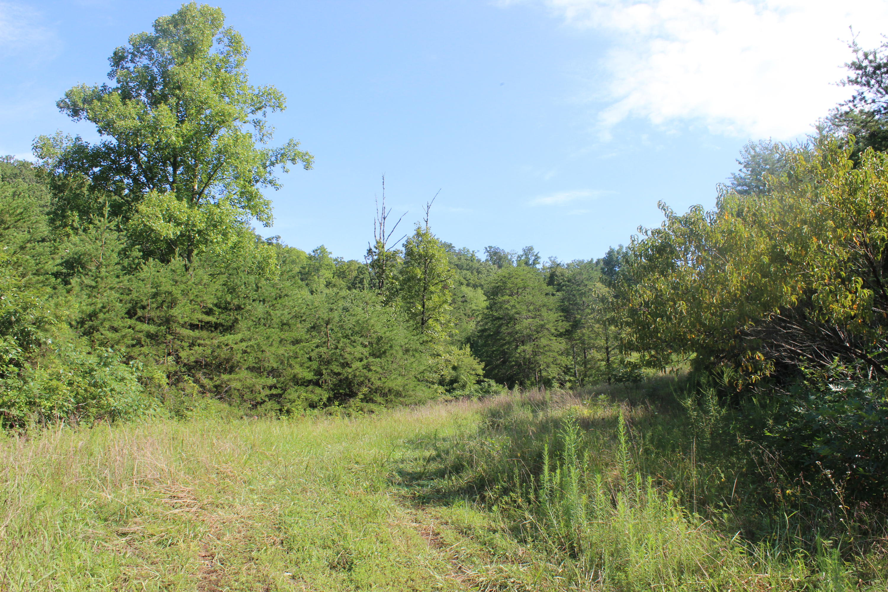 2755 Upper Caney Valley Road Tazewell, TN 37879 - Photo 23 of 23 IMG_9180