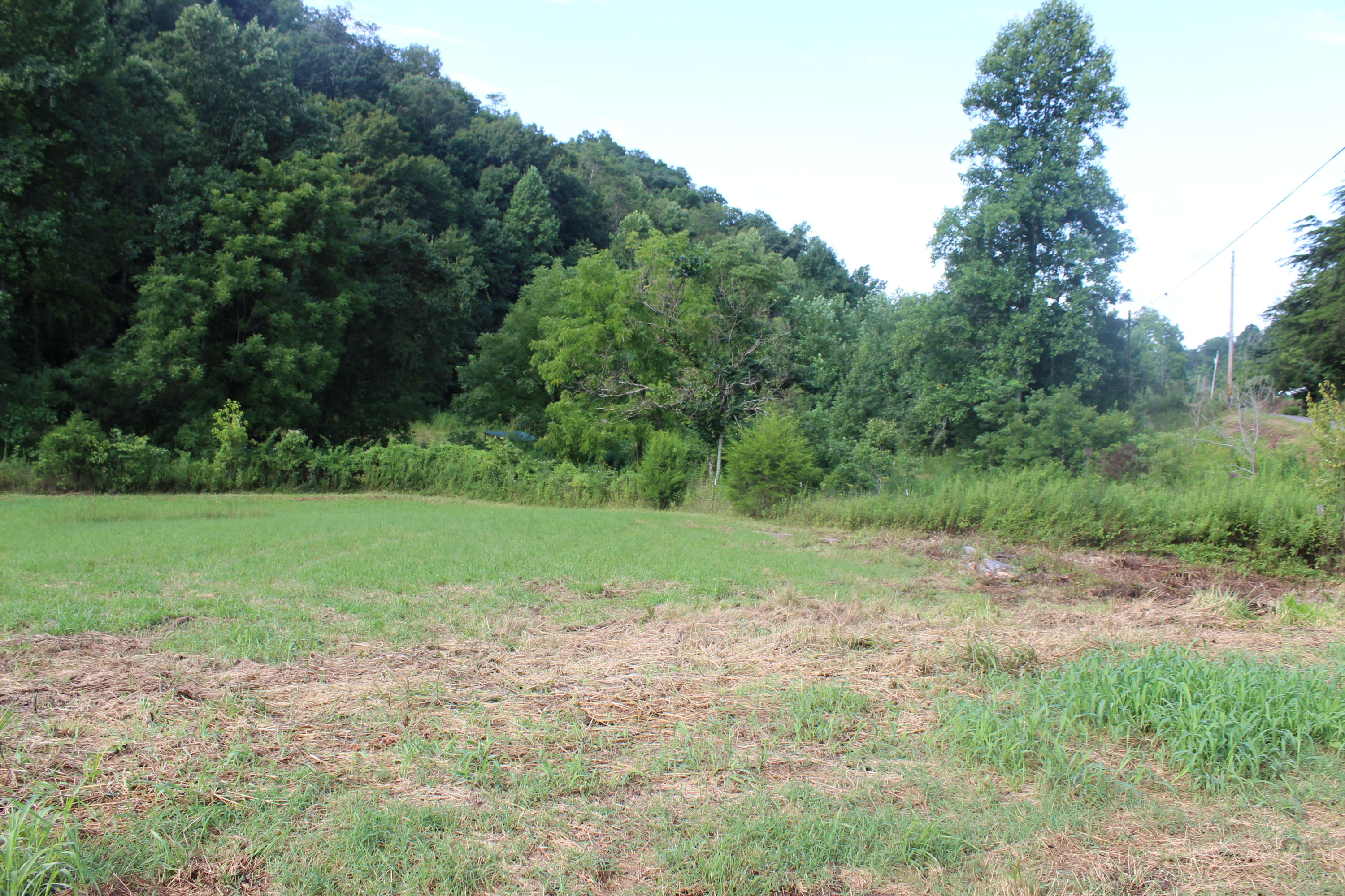 2755 Upper Caney Valley Road Tazewell, TN 37879 - Photo 8 of 23 IMG_9165
